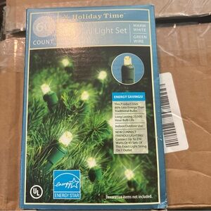 60 ct led mini lights white